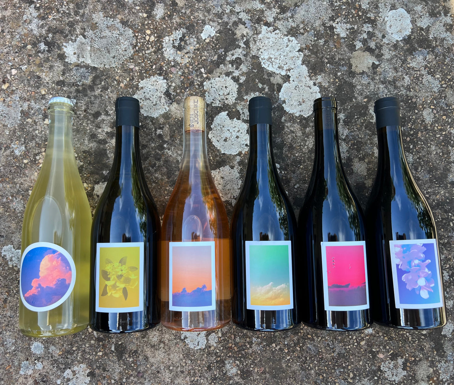 2025 Christmas 6 pack